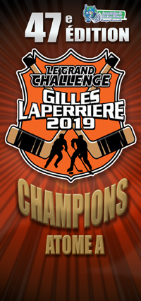 2019 Championship Banner